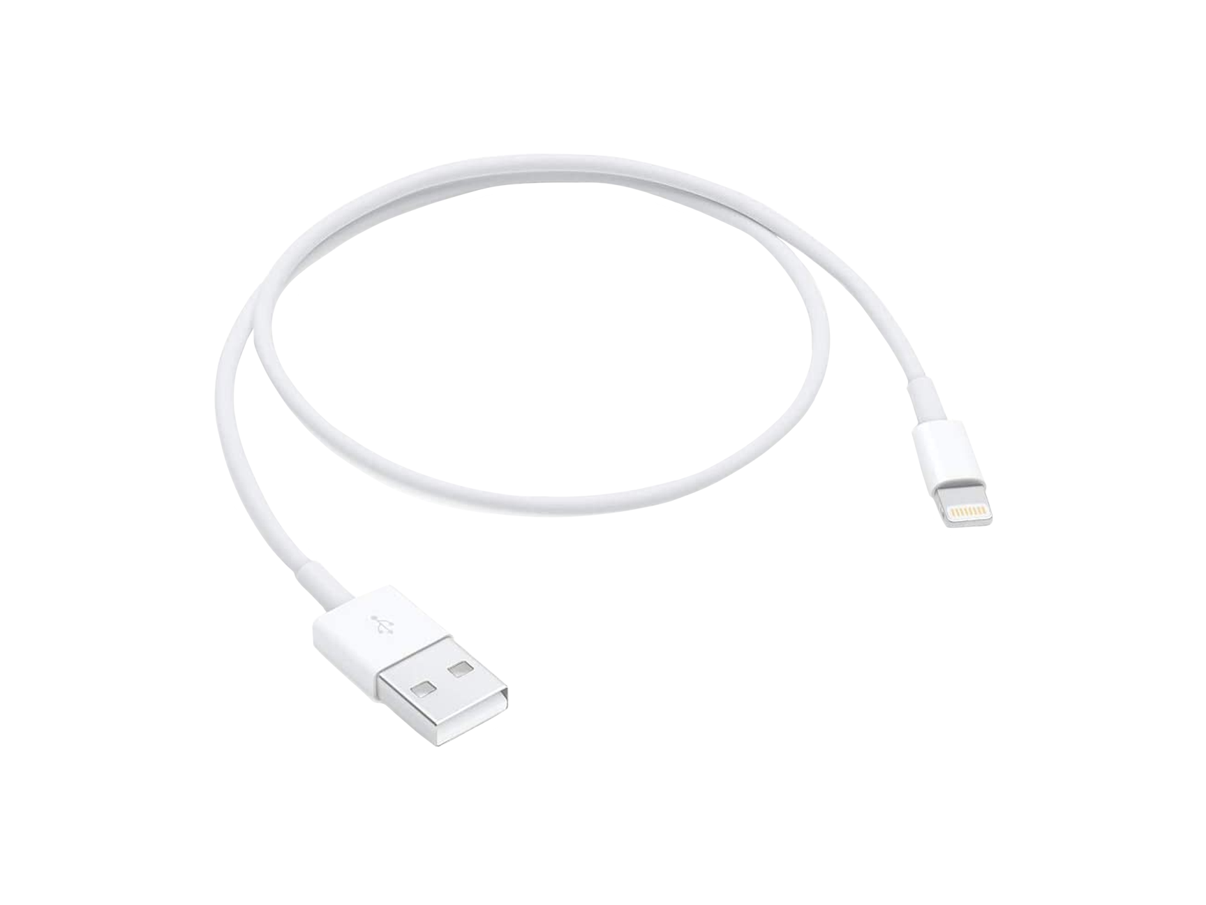 Apple Lightning to USB Cable (0.5 m)