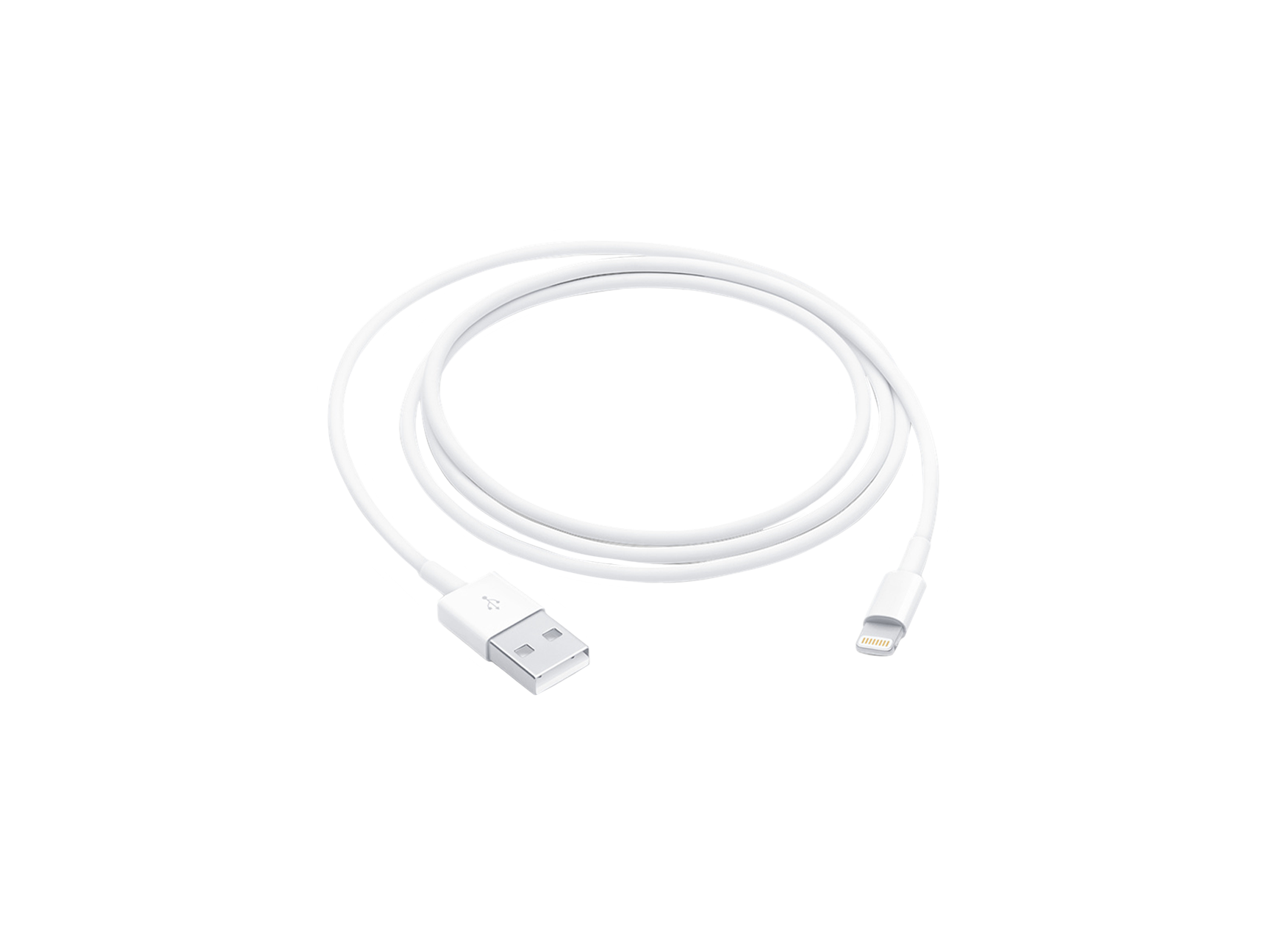 Apple Lightning to USB Cable (1 m)