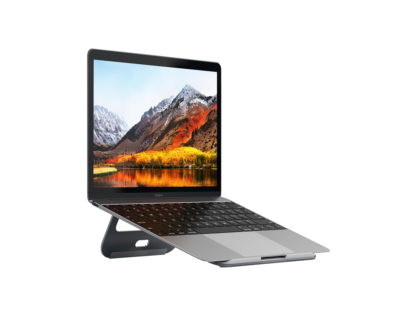 Satechi Aluminum Laptop Stand