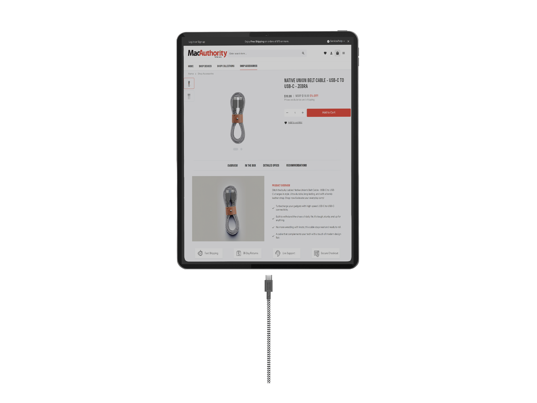 Native Union 4ft Belt Cable - USB-C to USB-C