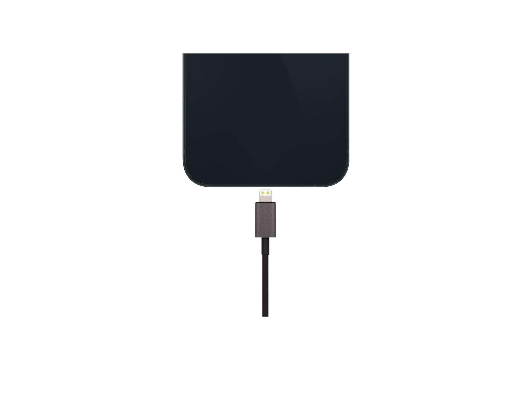 Moshi USB Cable with Lightning Connector