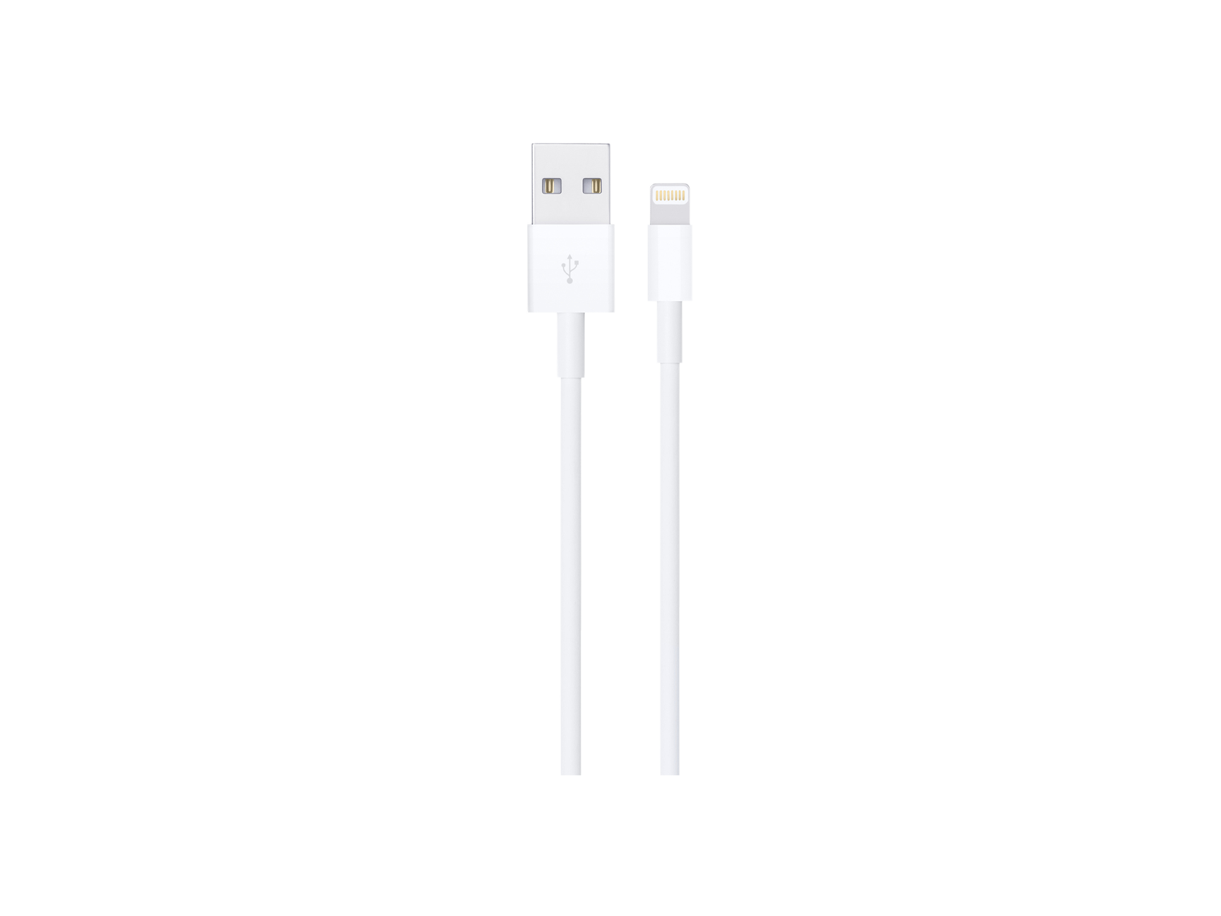Apple Lightning to USB Cable (0.5 m)