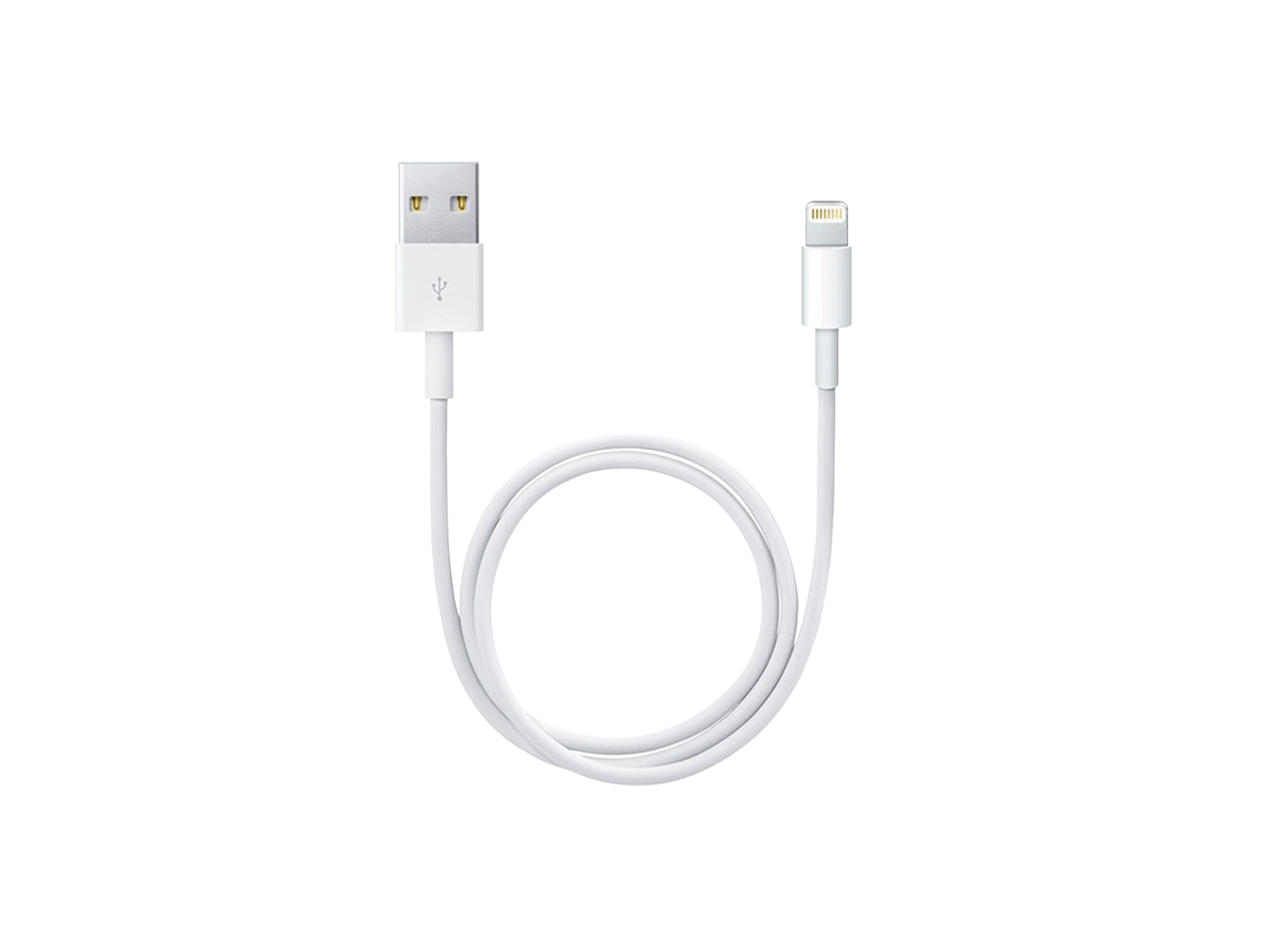 Apple Lightning to USB Cable (0.5 m)